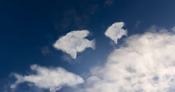 Deciphering Cloud Signals: 2024 Cloud Trends Report