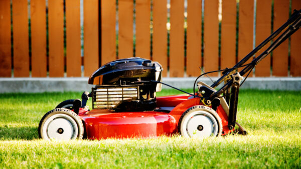 How To Choose The Best Self-Propelled Lawn Mower
