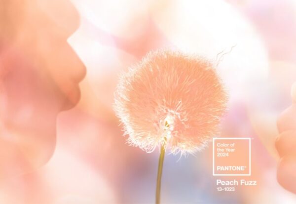 Pantone Colour of the Year 2024 Peach Fuzz — Inside Out Style